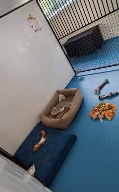 small photos on the bottom