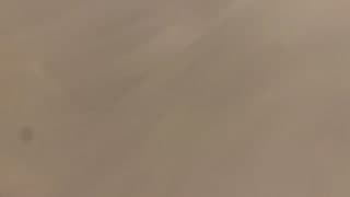 small photos on the bottom
