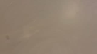 small photos on the bottom
